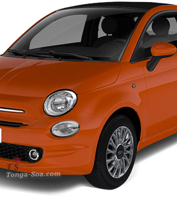 photo 1 de l annonce