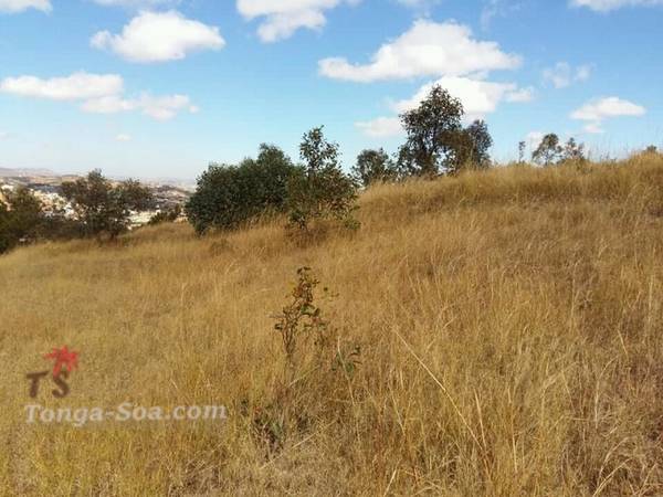 photo 2 de l annonce