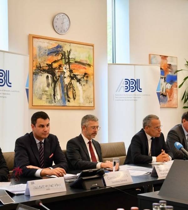 photo 1 de l annonce