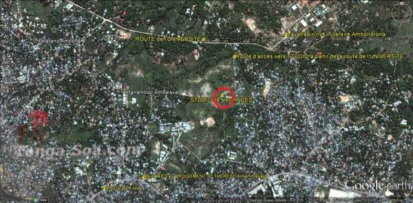 photo 1 de l annonce