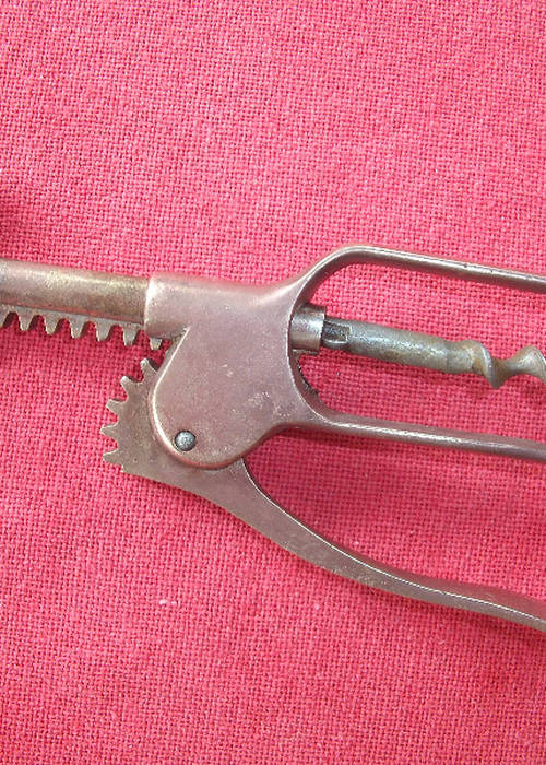 photo 1 de l annonce