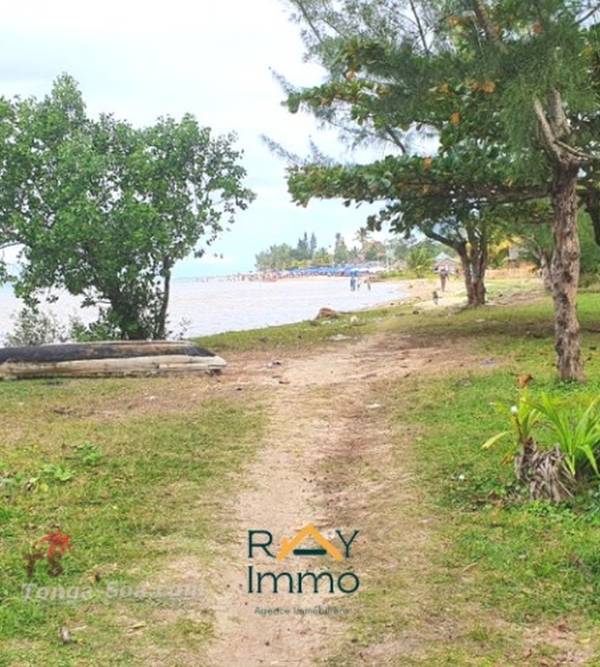 photo 1 de l annonce