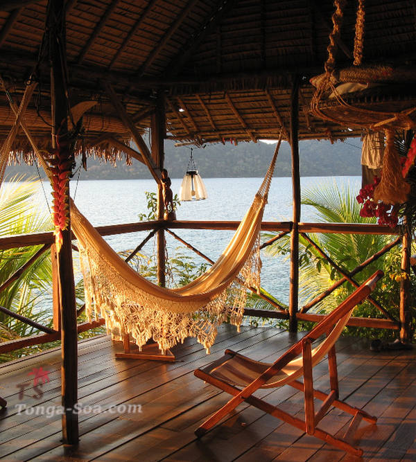 photo 2 de l annonce