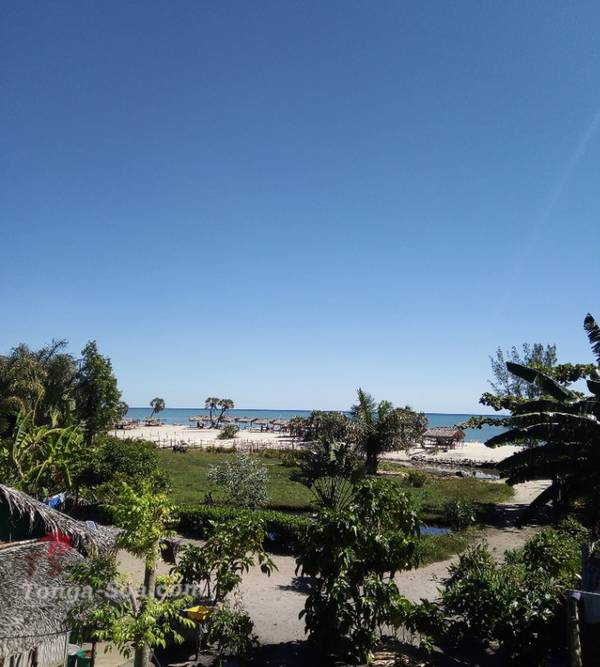 photo 1 de l annonce