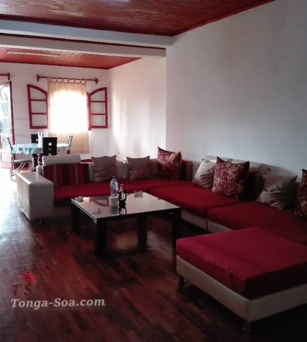 photo 1 de l annonce