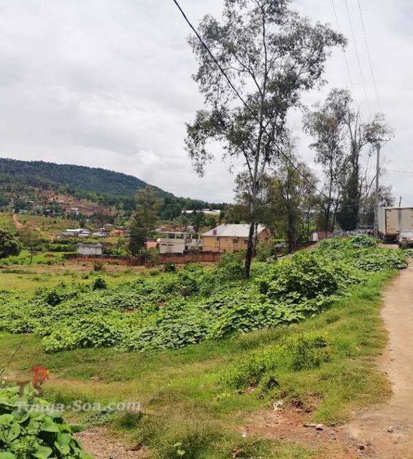 photo 1 de l annonce