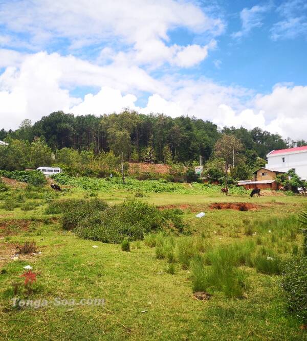 photo 2 de l annonce