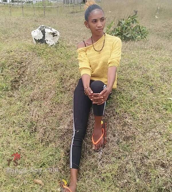 photo 1 de l annonce