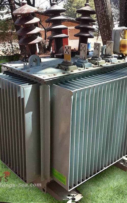 photo 1 de l annonce