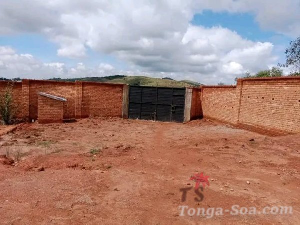 photo 2 de l annonce