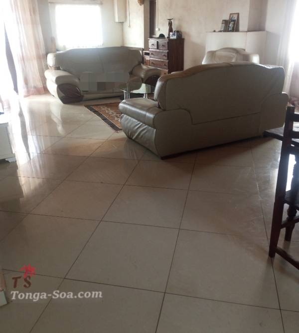 photo 1 de l annonce