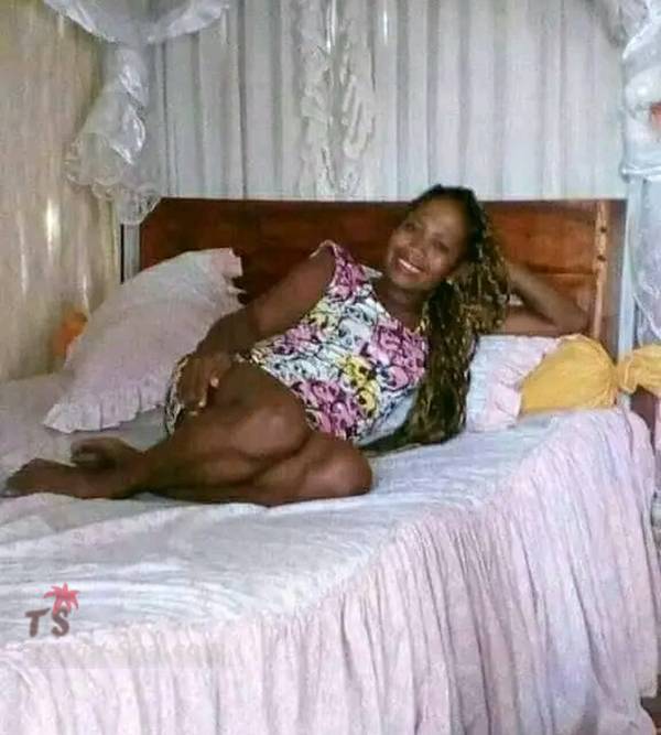 photo 1 de l annonce