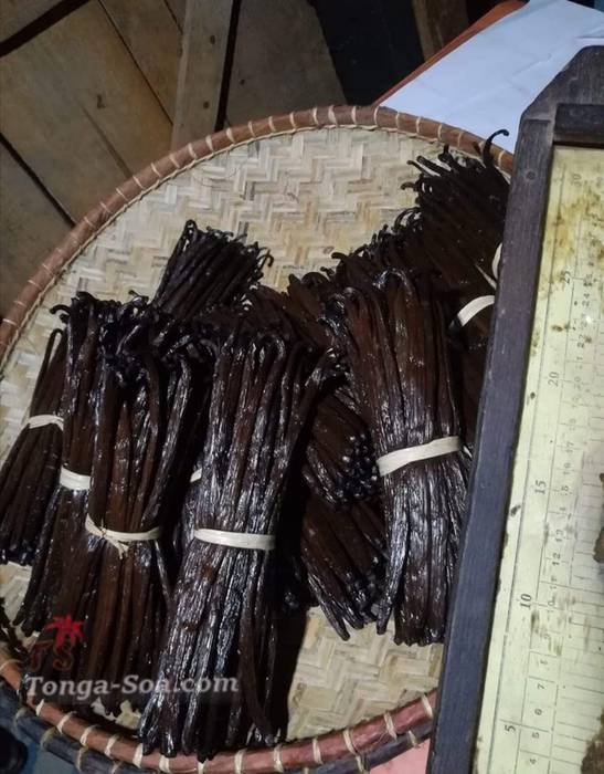 Cherche acheteur d vanille à l étranger 