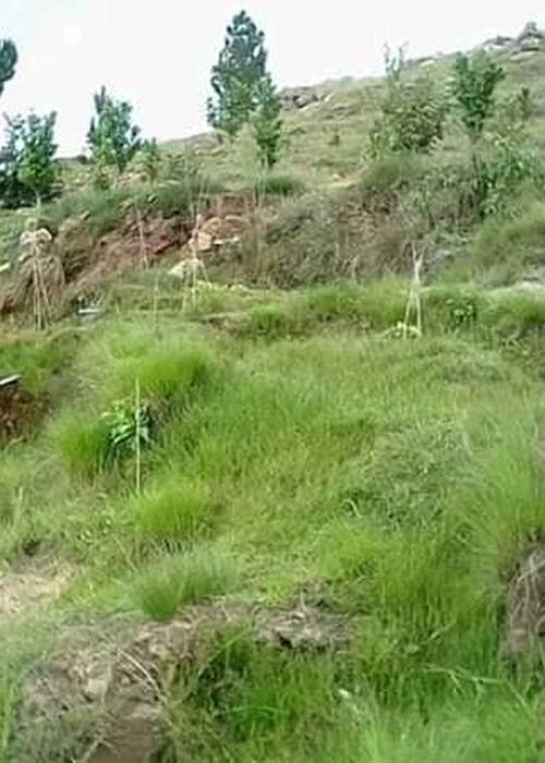 photo 4 de l annonce