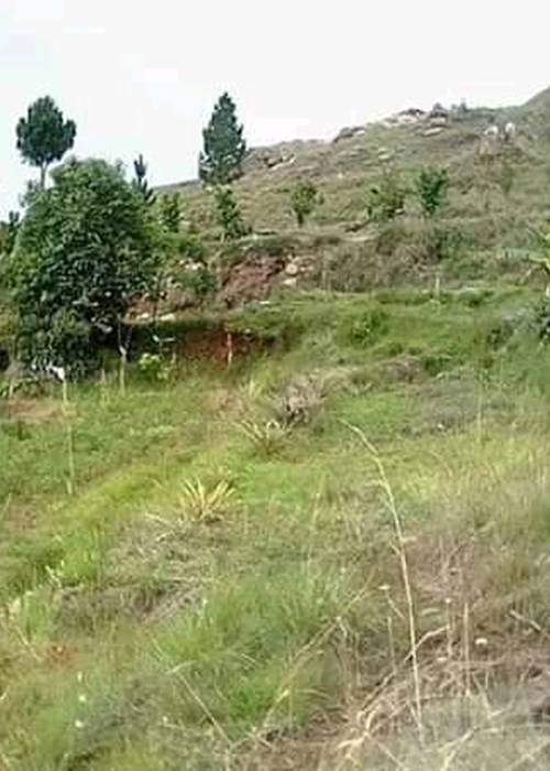 photo 5 de l annonce