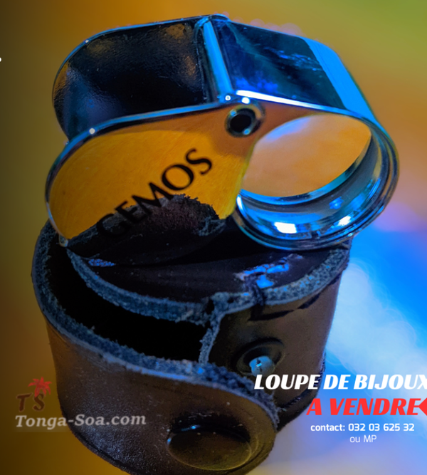 photo 1 de l annonce