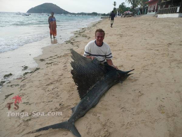 Cherche une compagne féminine