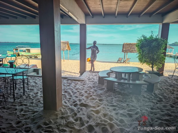 photo 1 de l annonce