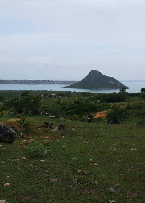 photo 1 de l annonce