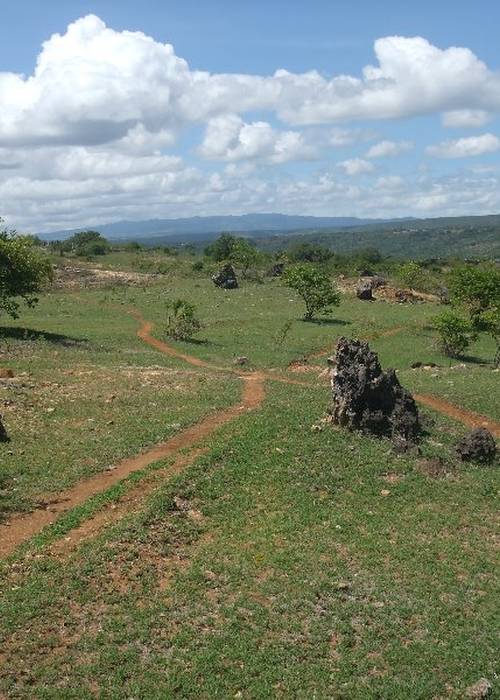 photo 2 de l annonce