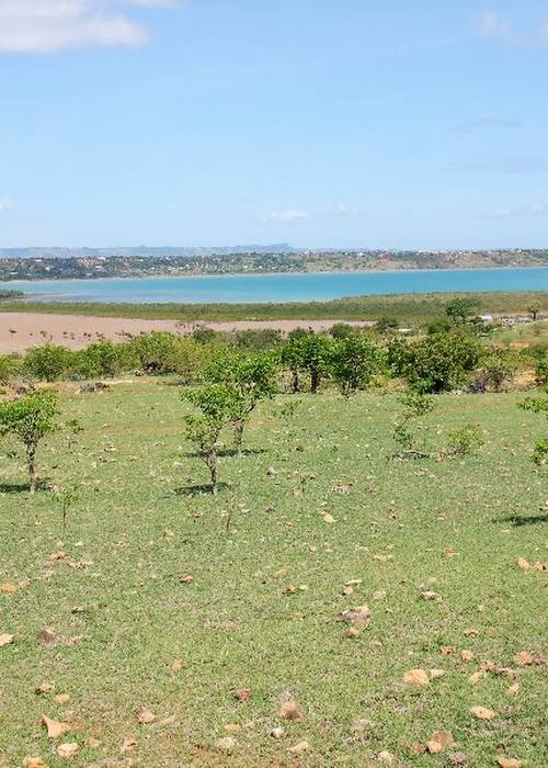 photo 3 de l annonce