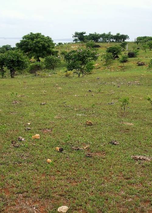 photo 4 de l annonce