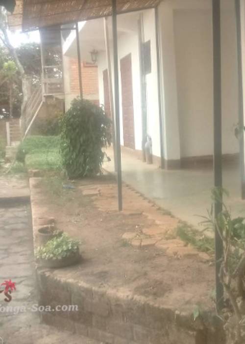 photo 1 de l annonce