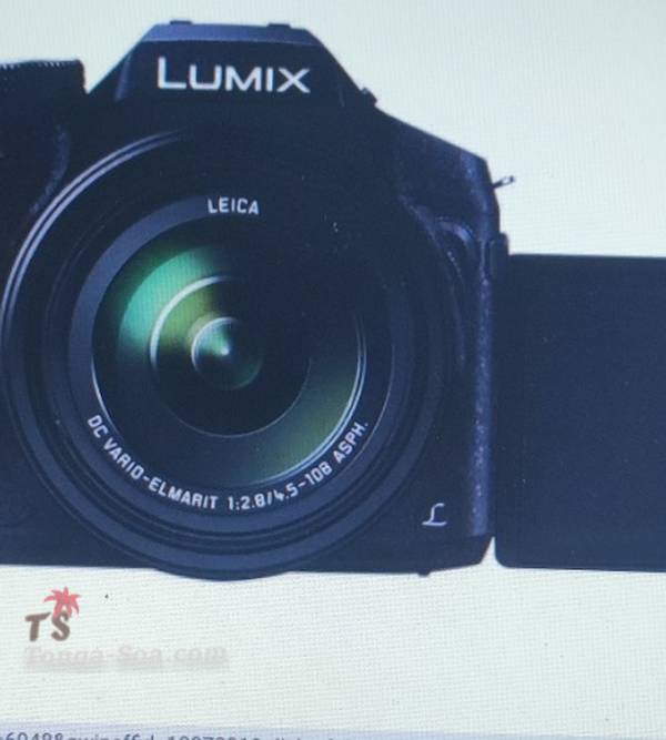 photo 1 de l annonce