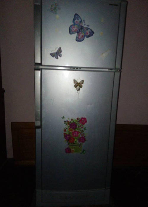 photo 3 de l annonce