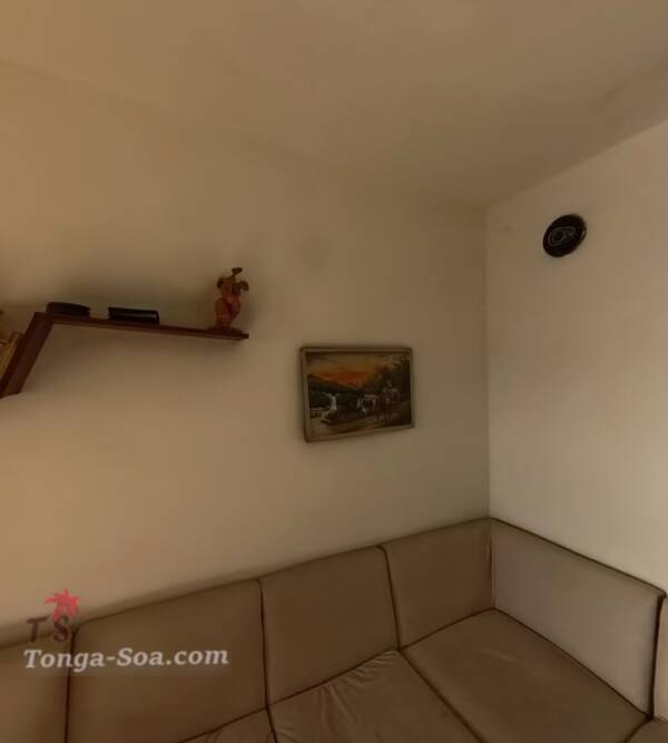 photo 1 de l annonce