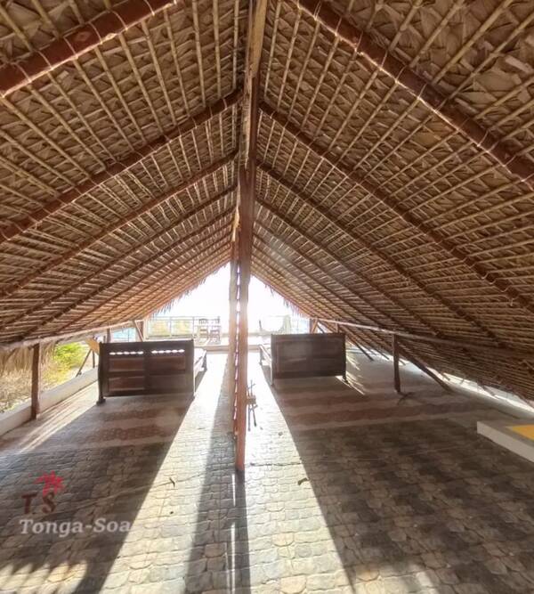 photo 3 de l annonce