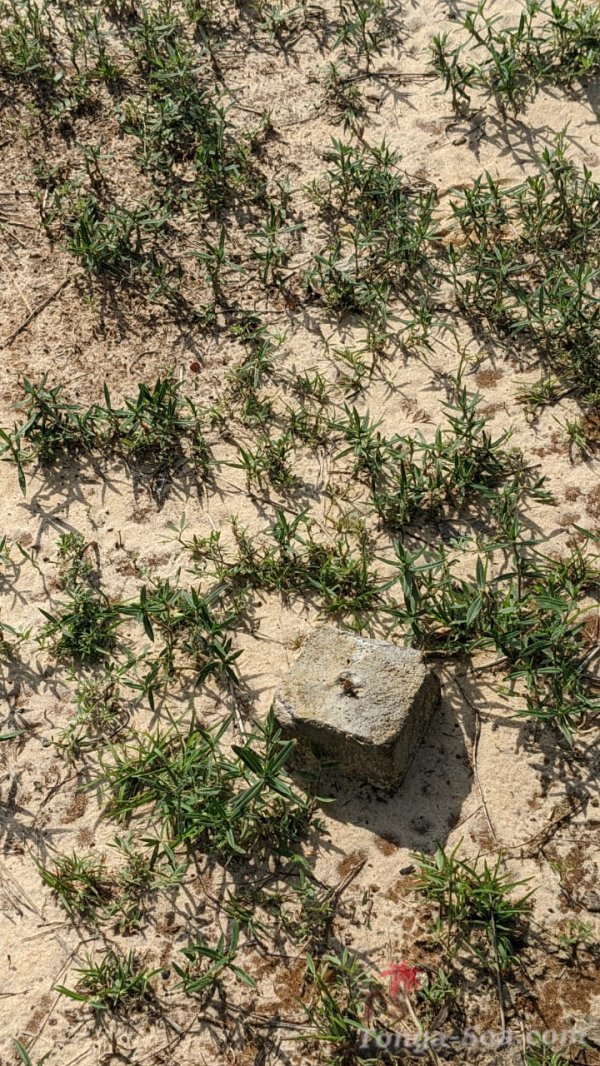 photo 3 de l annonce