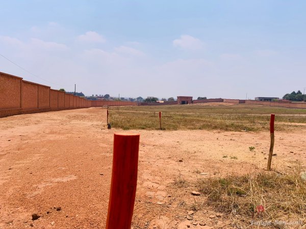 photo 4 de l annonce