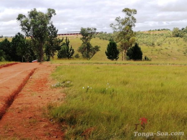 photo 1 de l annonce