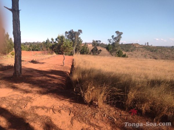 photo 2 de l annonce