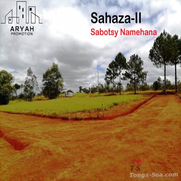 photo 4 de l annonce