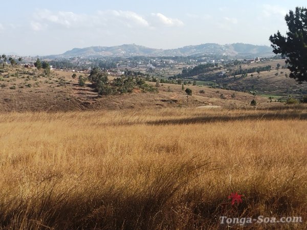 photo 5 de l annonce