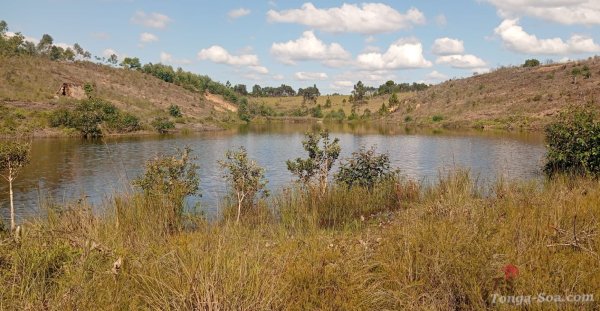 photo 1 de l annonce