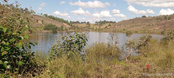 photo 3 de l annonce