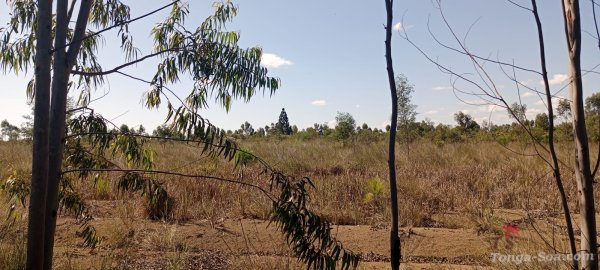 photo 5 de l annonce