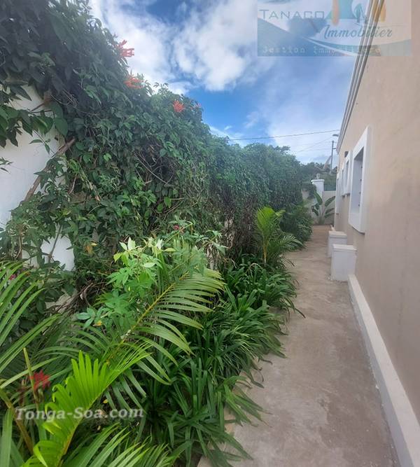 photo 5 de l annonce