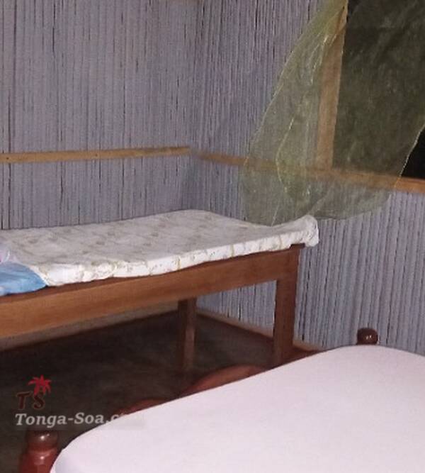 photo 1 de l annonce