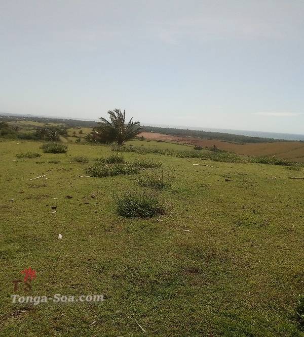 Terrain vue panoramique de la mer