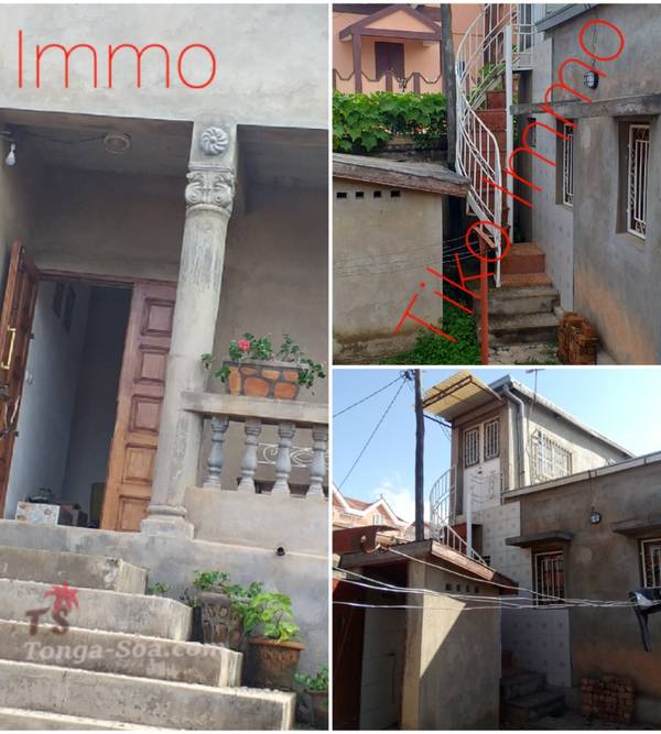 photo 1 de l annonce