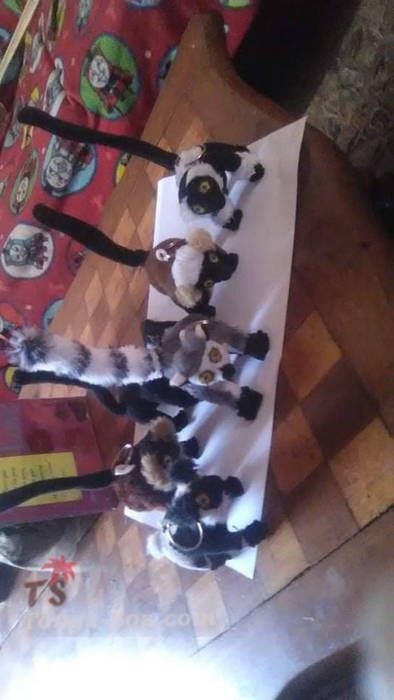 photo 2 de l annonce