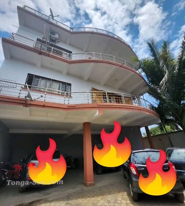 photo 1 de l annonce