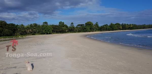 photo 1 de l annonce