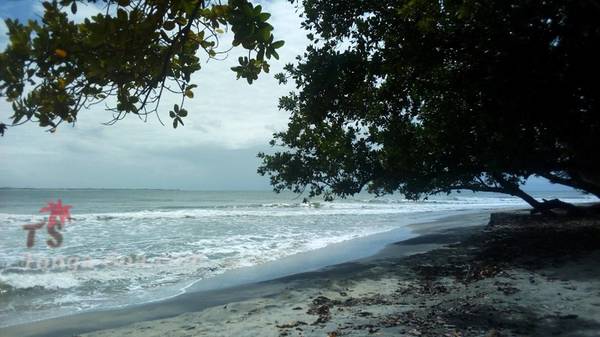 photo 2 de l annonce