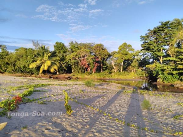 photo 4 de l annonce