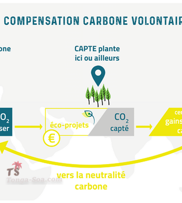 Projet de compensation carbone